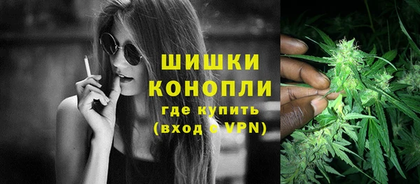 хмурый Инсар
