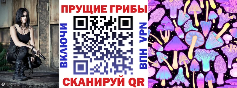 Псилоцибиновые грибы GOLDEN TEACHER  Купить  Заречный 